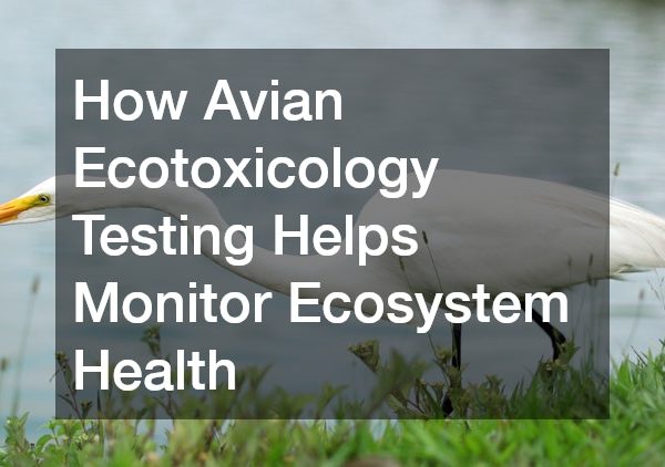 How Avian Ecotoxicology Testing Helps Monitor Ecosystem Health